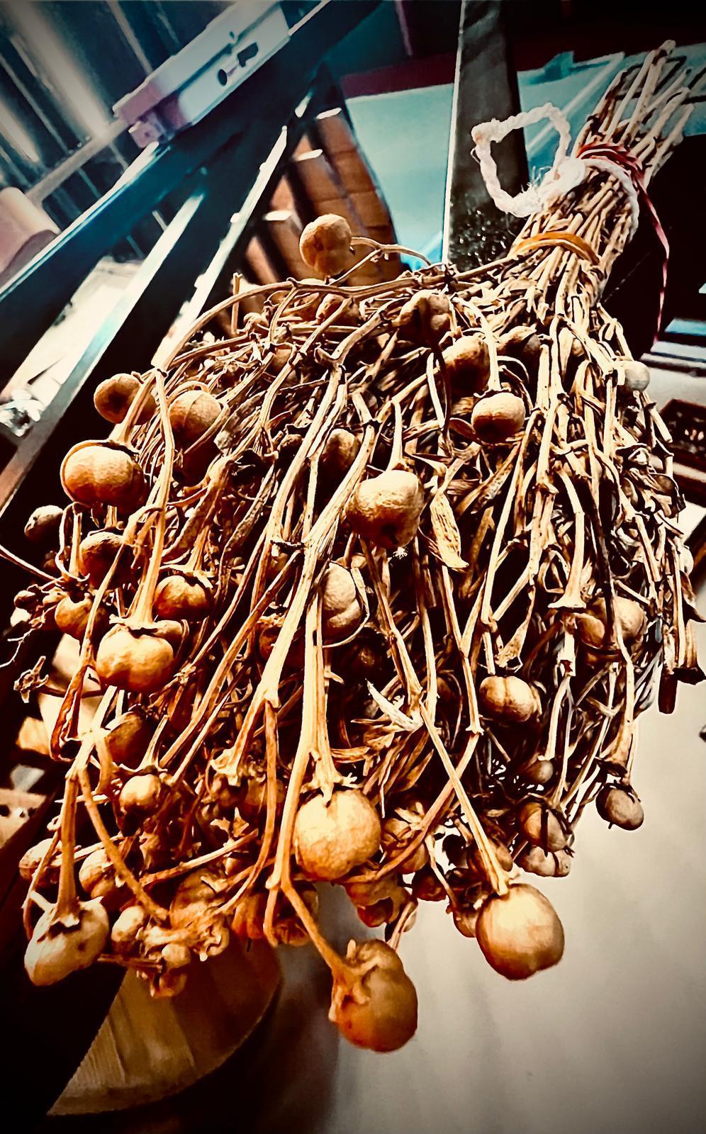 El Yapımı Gitarlar