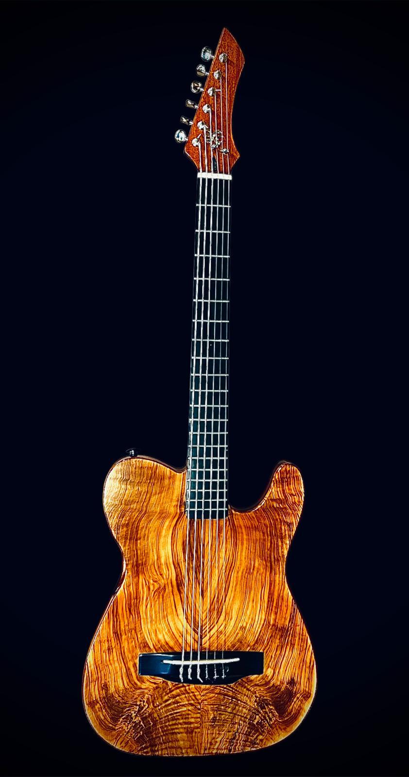 Elektro Gitar